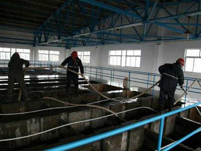 厂区沉淀池清理 